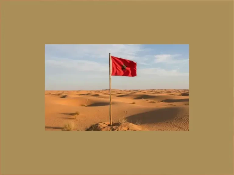 الصحراء المغربية الجذور والسياقات. قراءة تاريخية